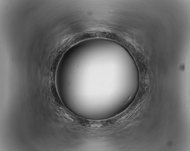 X0000097960965200804071026