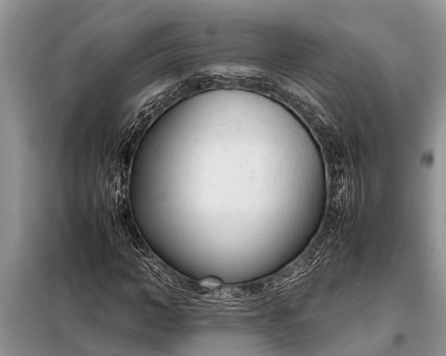 X0000097960966200804071026
