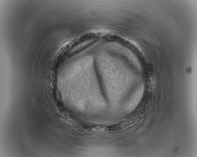 X0000097960967200804071026