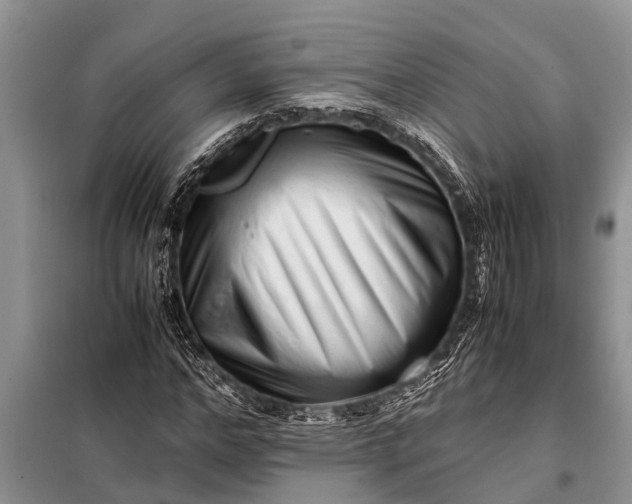 X0000097960968200804071026