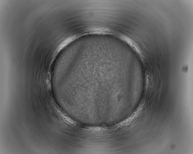 X0000097960970200804071026