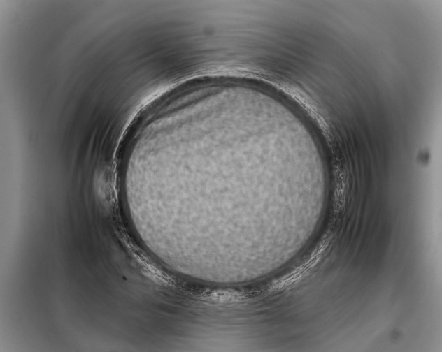 X0000097960974200804071026