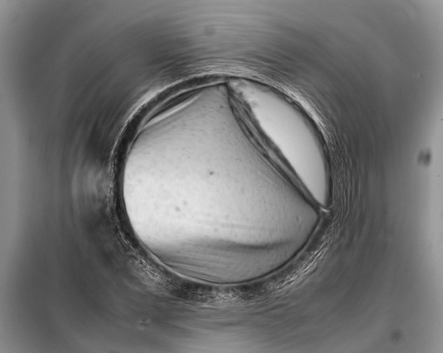 X0000097960975200804071026
