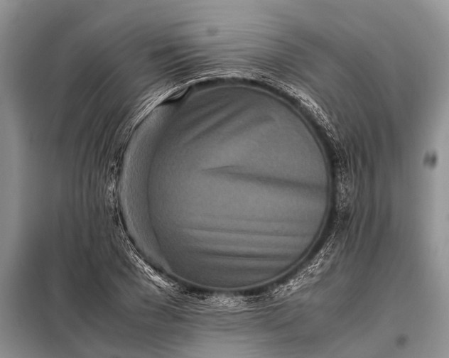 X0000097960977200804071026