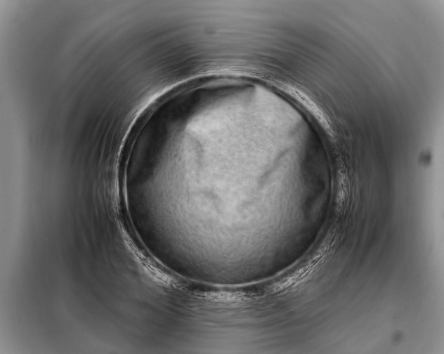 X0000097960980200804071026
