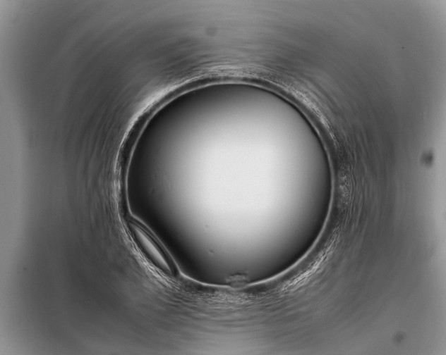X0000097960981200804071026