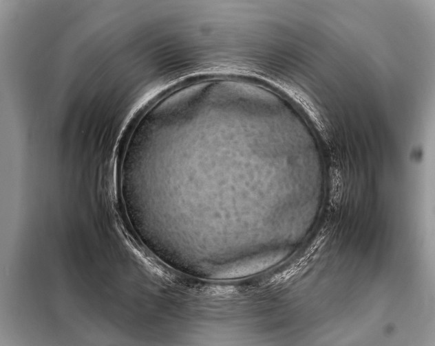 X0000097960982200804071026