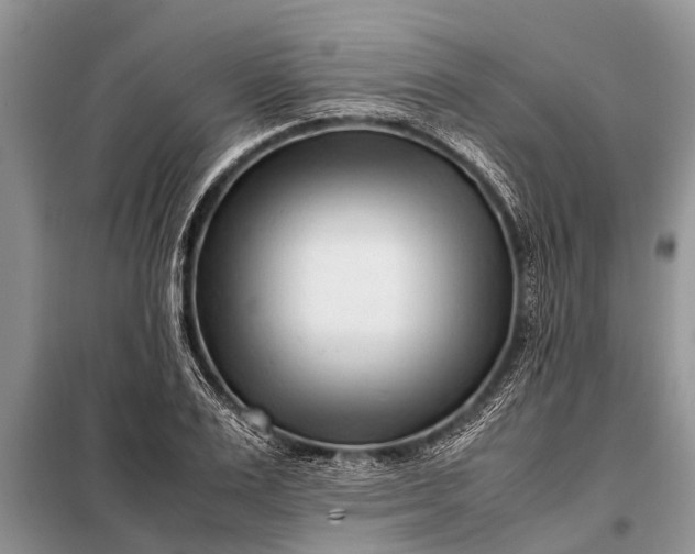 X0000097960983200804071026
