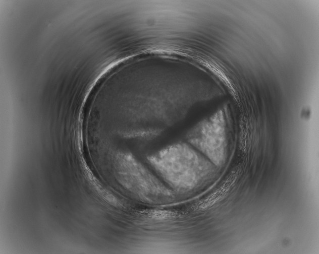 X0000097960984200804071026