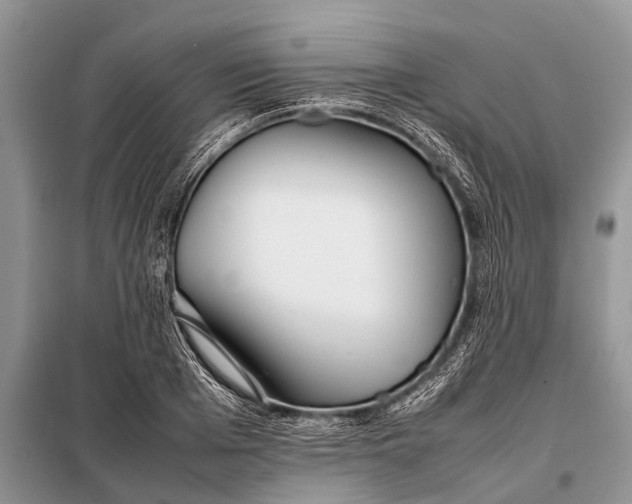 X0000097960985200804071026