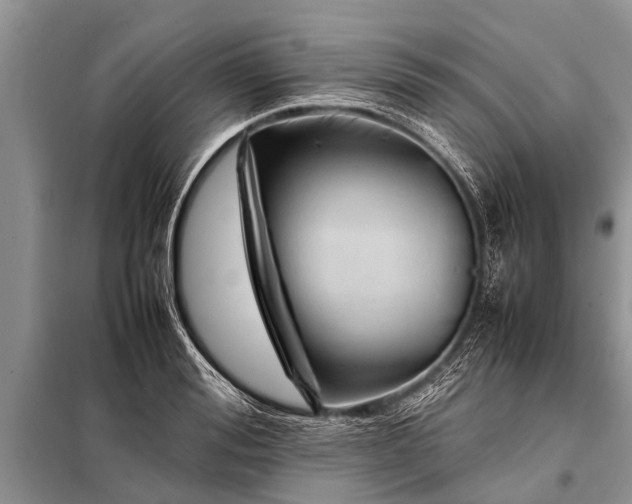 X0000097960988200804071026