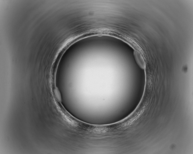X0000097960989200804071026