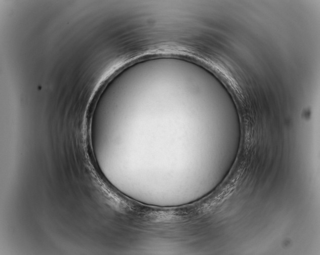 X0000097960990200804071026