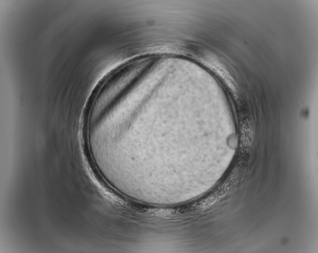 X0000097960991200804071026