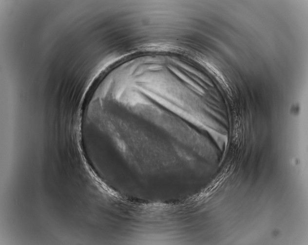 X0000097960992200804071026