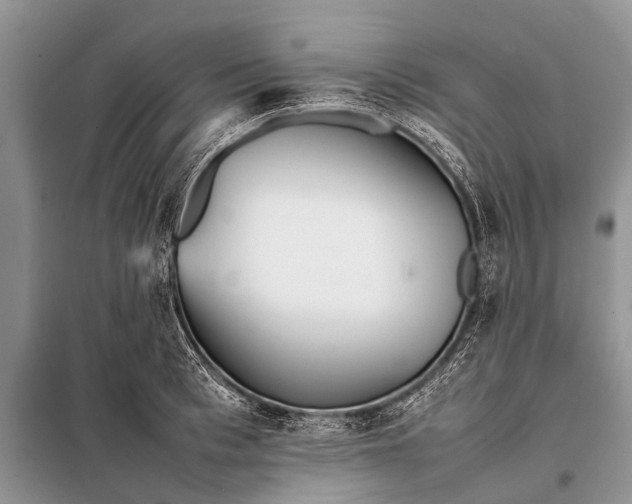 X0000097960993200804071026