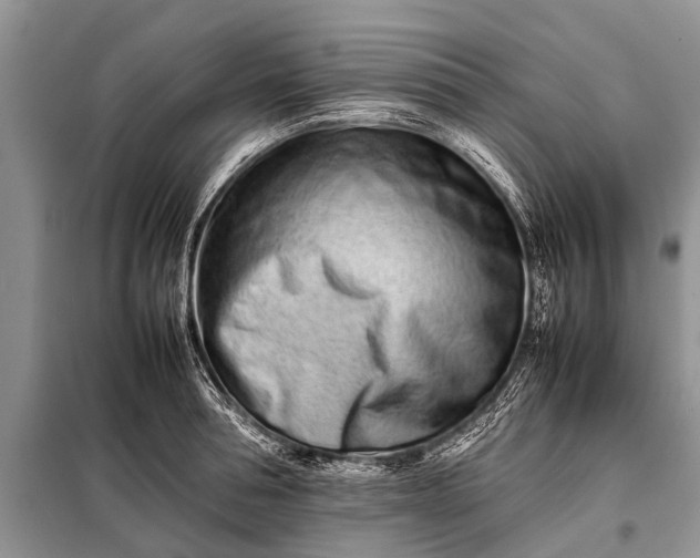 X0000097960994200804071026