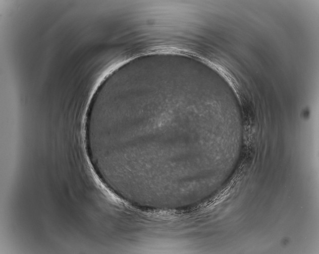 X0000097960995200804071026