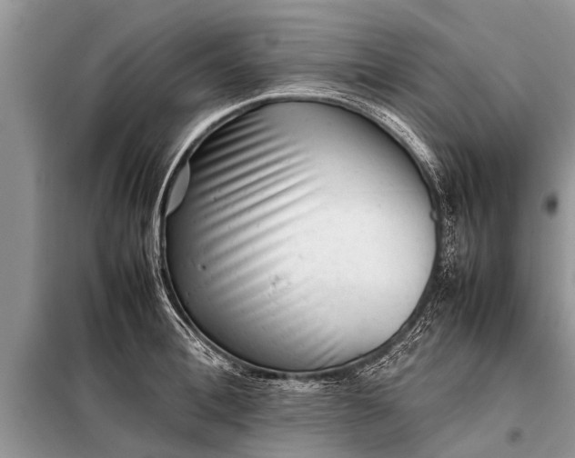 X0000097960996200804071026