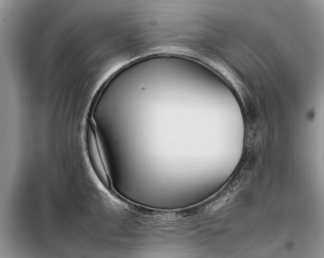 X0000097960999200804071026