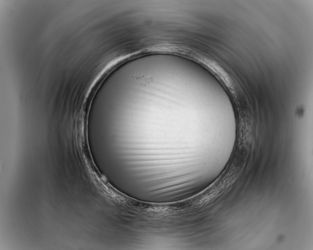 X0000097961000200804071026