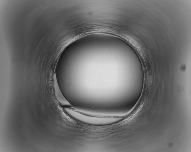 X0000097961001200804071026