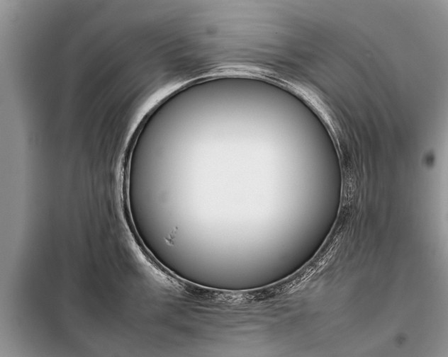 X0000097961003200804071026