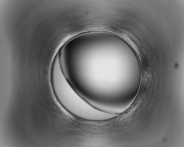 X0000097961005200804071026