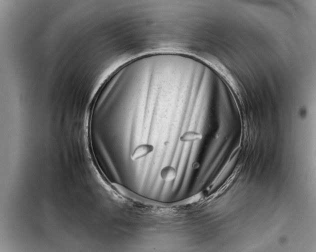X0000097961006200804071026