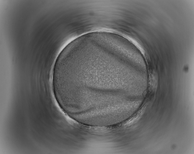 X0000097961007200804071026