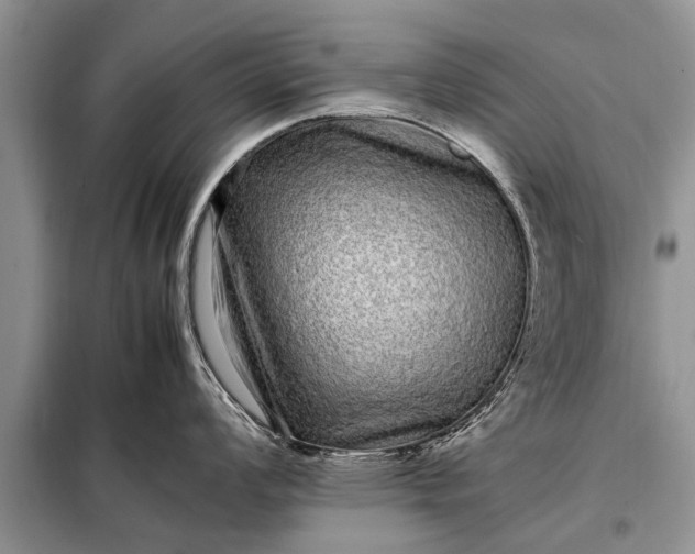 X0000097961008200804071026