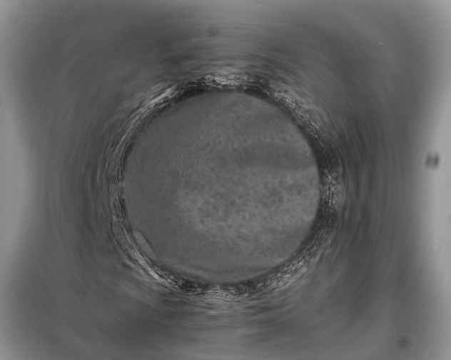 X0000097961009200804071025