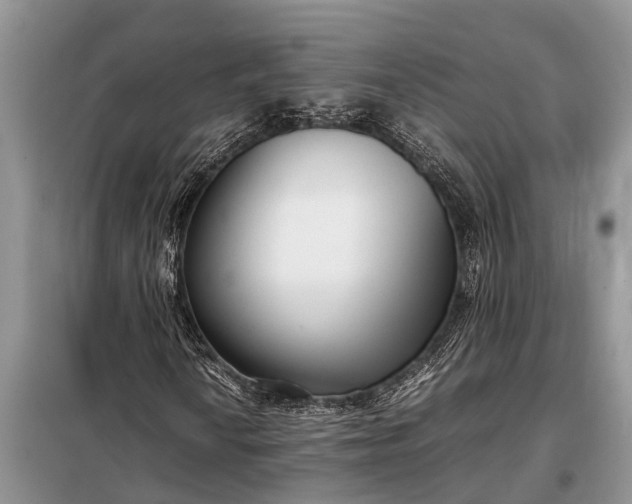 X0000097961010200804071025