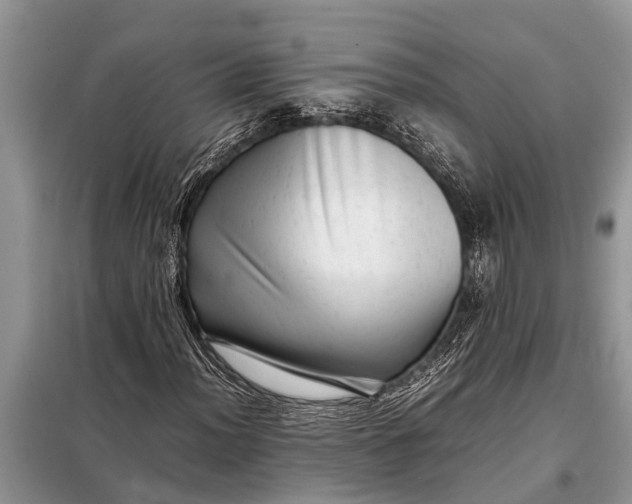 X0000097961012200804071025