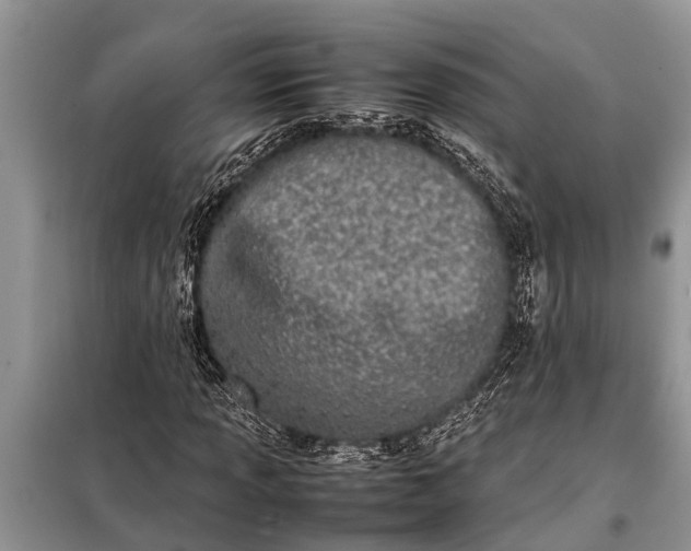 X0000097961013200804071025