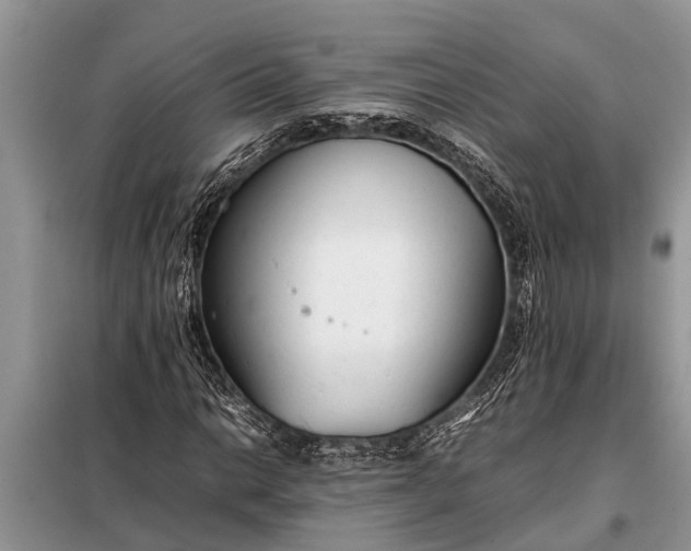 X0000097961014200804071025