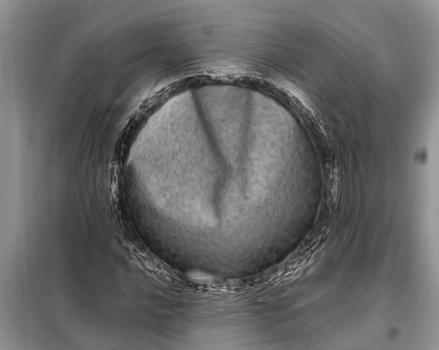 X0000097961016200804071025