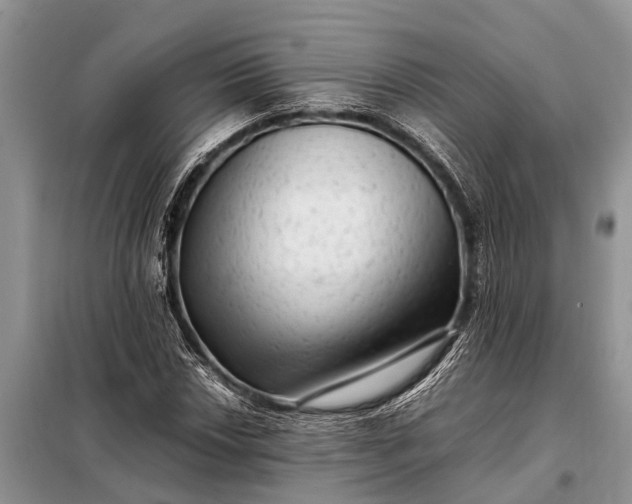 X0000097961018200804071025
