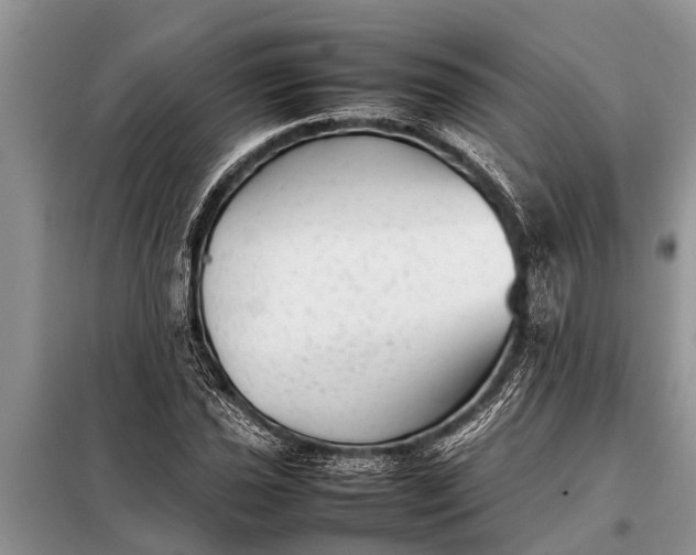 X0000097961021200804071025