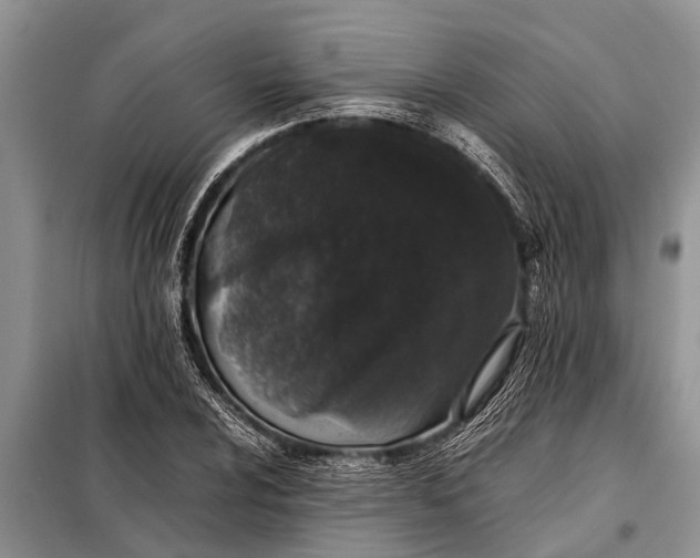 X0000097961024200804071025