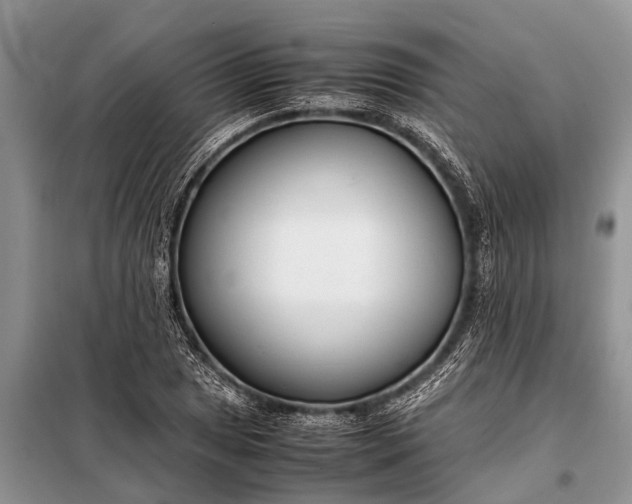 X0000097961025200804071025