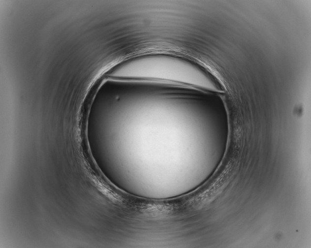 X0000097961026200804071025
