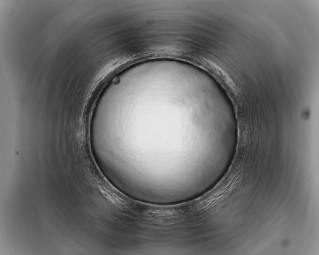 X0000097961027200804071025