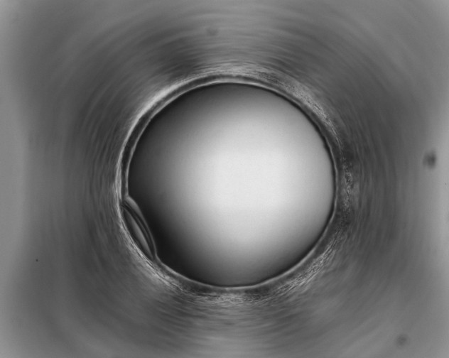 X0000097961028200804071025