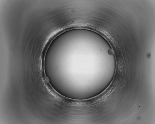 X0000097961030200804071025