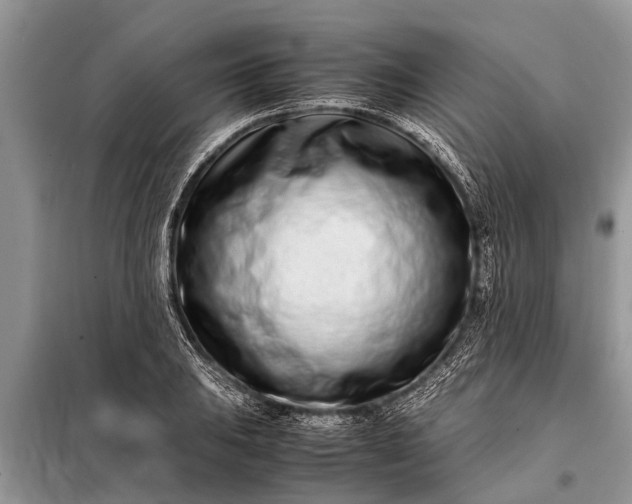 X0000097961031200804071025