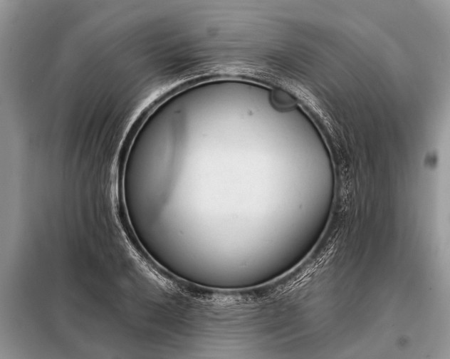 X0000097961032200804071025