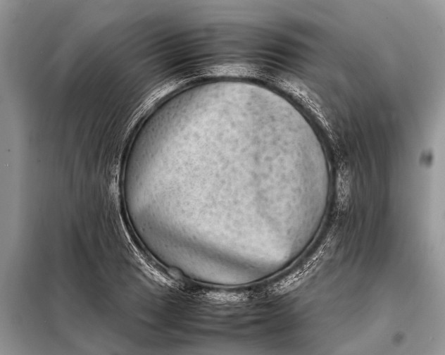 X0000097961033200804071025