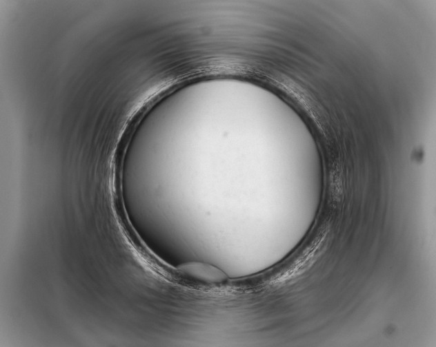X0000097961034200804071025