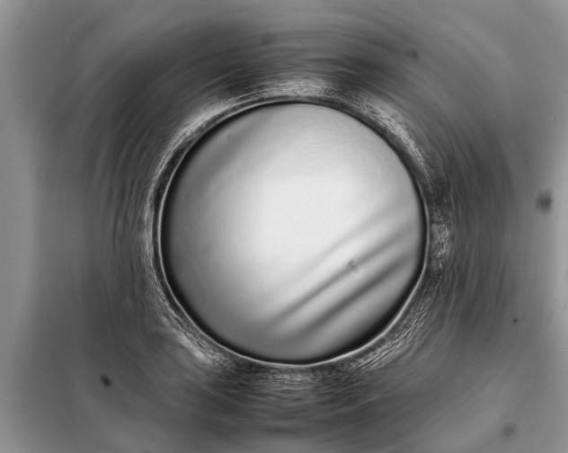 X0000097961035200804071025